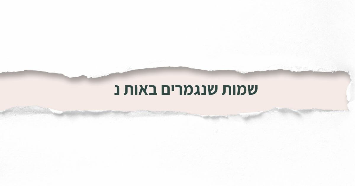 שמות שנגמרים באות נ