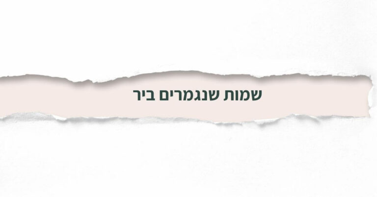 שמות שנגמרים ב- יר