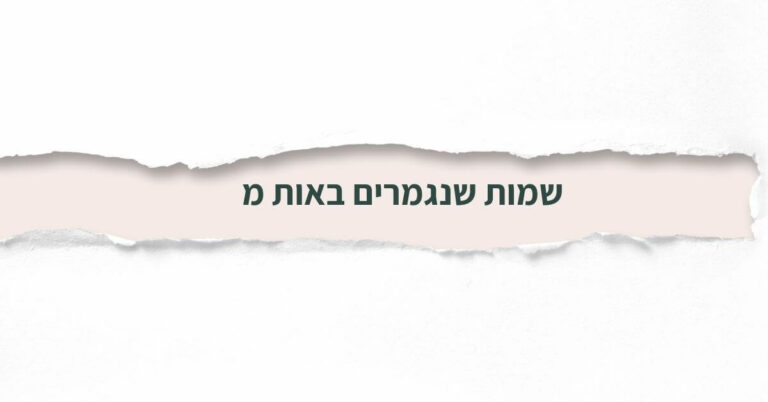 שמות שנגמרים באות מ