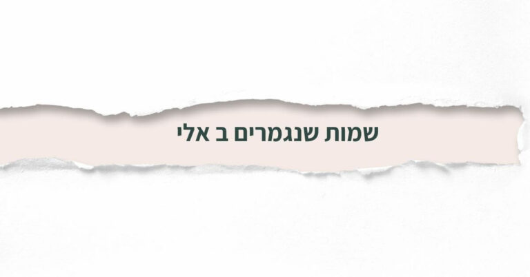 שמות שנגמרים ב אלי